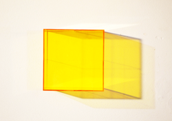 T-Yellow, 2017