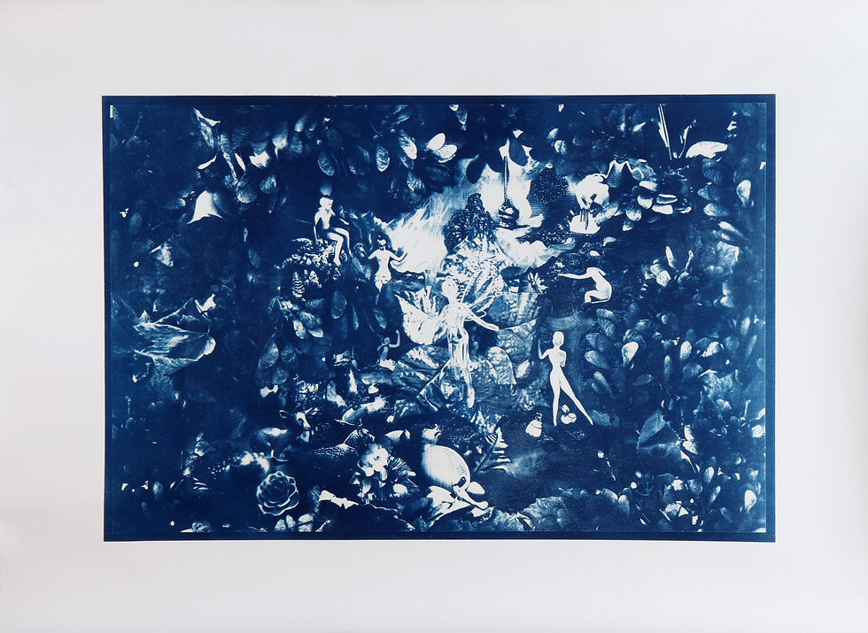 Fairy. 2025  From the series Let me Tell You a Story  Cyanotypeon Hahnemühle Fine Art 300 gms paper