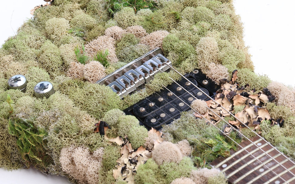 Raining In Your Bedroom Archival pigment print Kevin Krag photography contemporary color design nature guitar