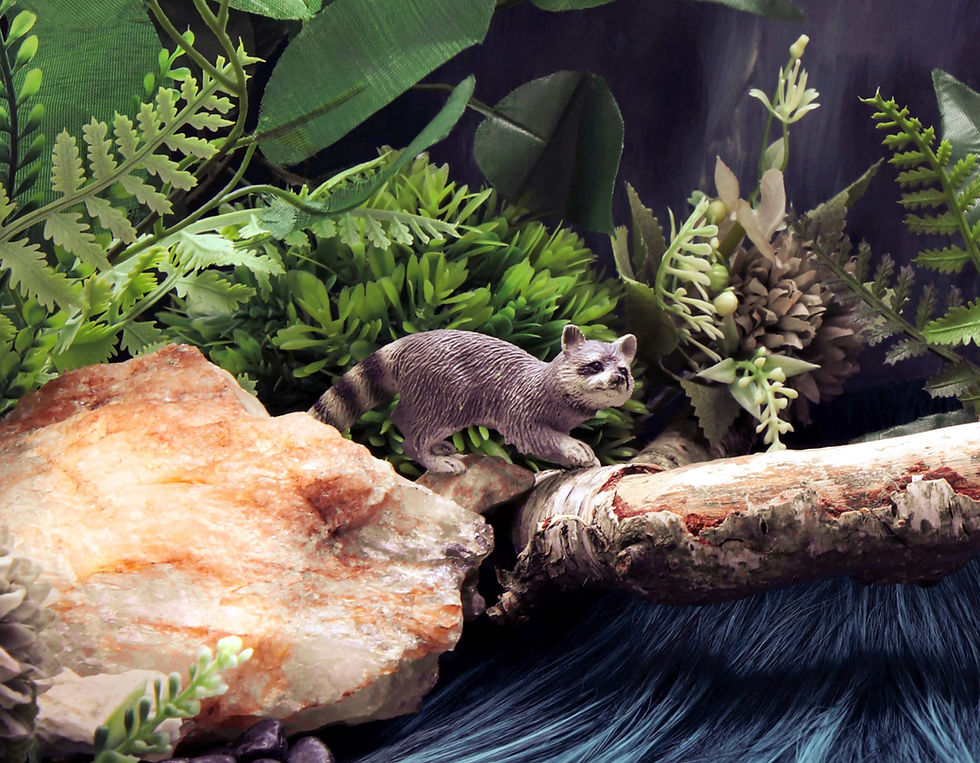 A Raccoon, 2024  From The It’s All About the Game Series  Pigment print on Ilford Gallery cotton paper 310gms  Limited Editio