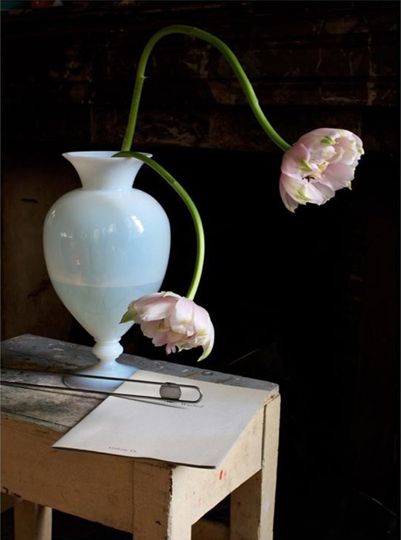 Thumbnail: Opalina, Portfolio of 9 photographs Michael James O'Brien color Photography still life contemporary art nature flowers