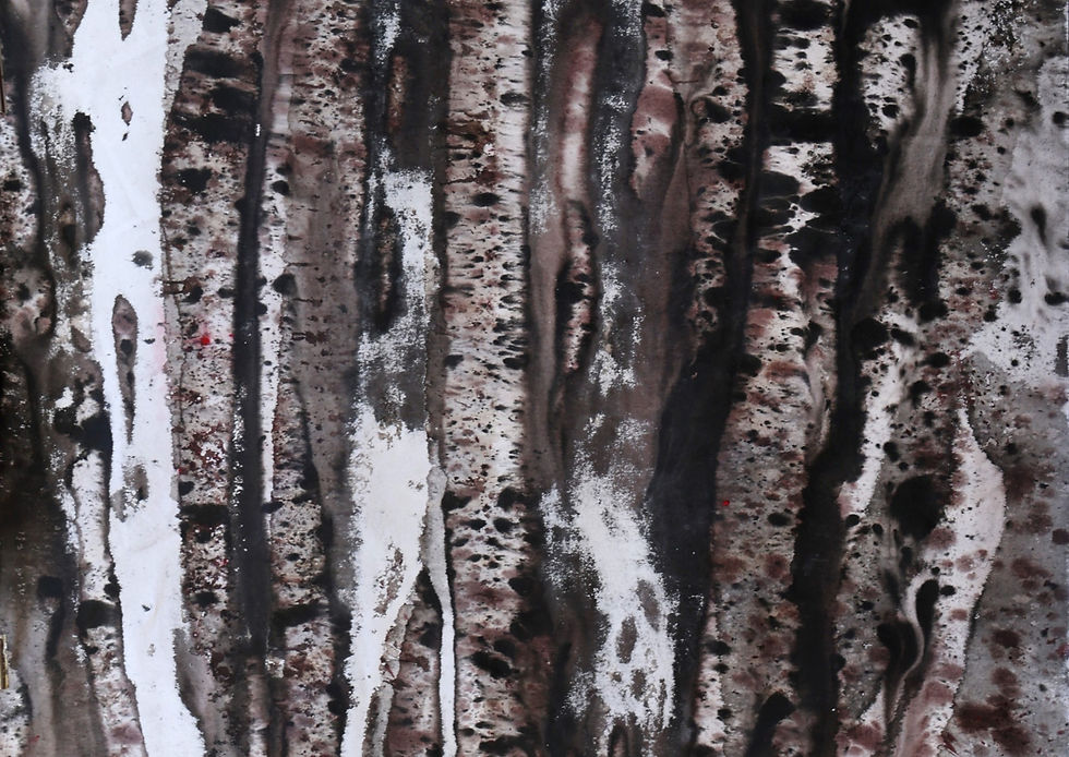 Thumbnail: Registros, Abstract Paintings, Nat orlowski, mixed media, canvas, contemporary art