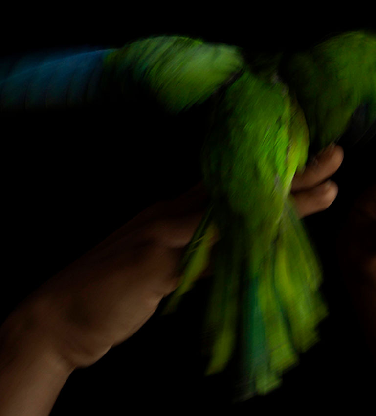 Ricky Cohete color photography male figurative still life nude contemporary