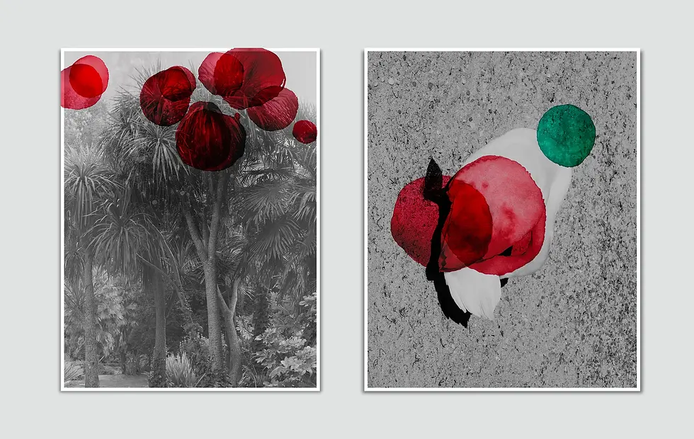 Mixed media photography diptych 262023 & 266930 by Salvatore Arnone featuring black and white palm trees