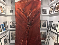 Photos Exhibition Tropicalia (1).jpg