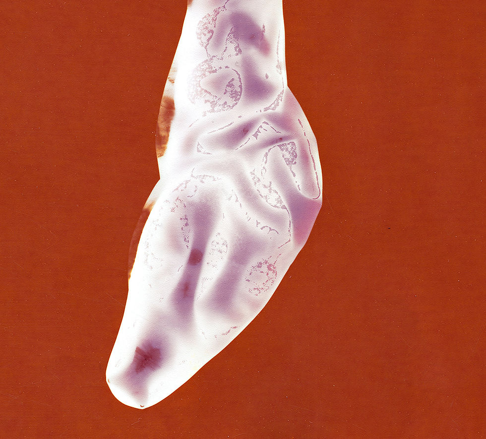 Thumbnail: Condom with bodily fluids on orange background, ecstasy documentation