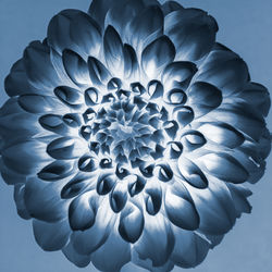 Untitled_Horst P Horst