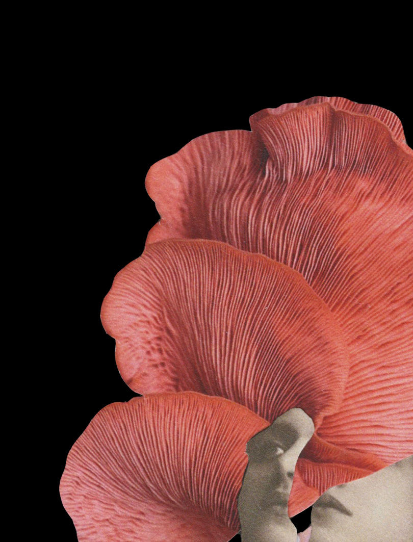 Thumbnail: Her-Untitled 2, 2018_Ying Chen_Color Photography_Figurative photography_still life_Color abstract_