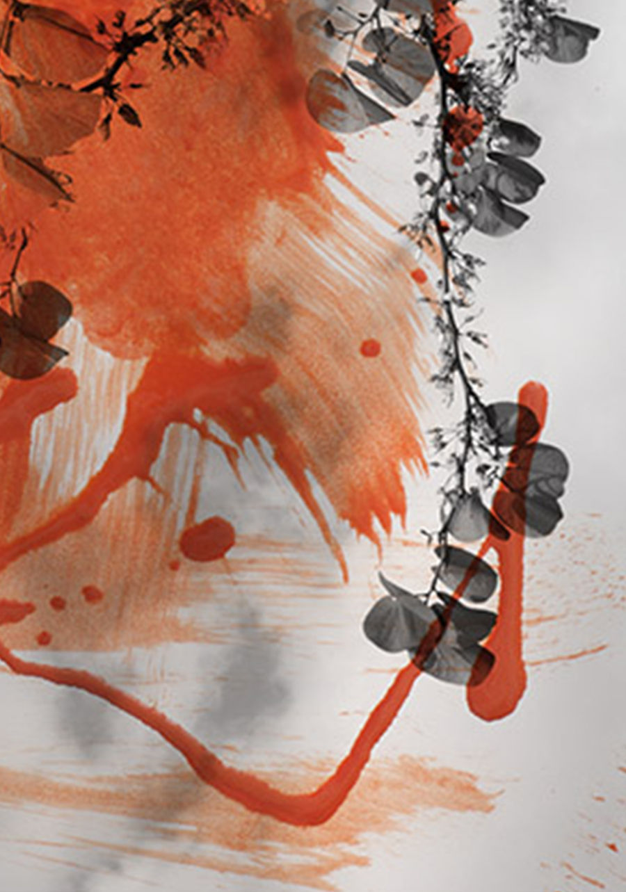 Thumbnail: Salvatore Arnone abstract  photography color contemporary