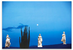 Delirio Exótico #10, 2020