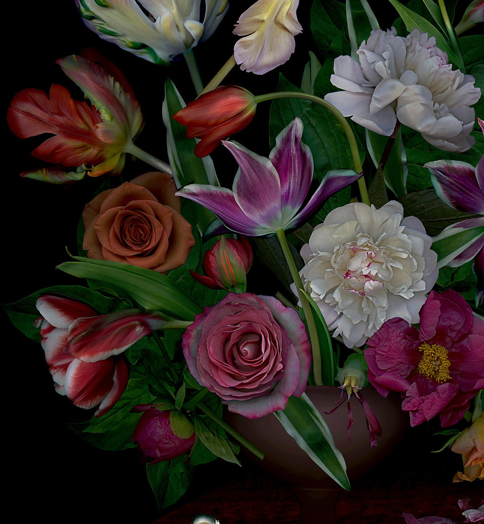 Still Life 2019 Zoltan Gerliczki photography color flowers still life