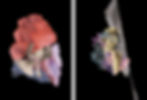 Her-Untitled 5 & 3 Diptych, 2018 Ying Chen_Color Photography_Figurative photography_still life_Color abstract_