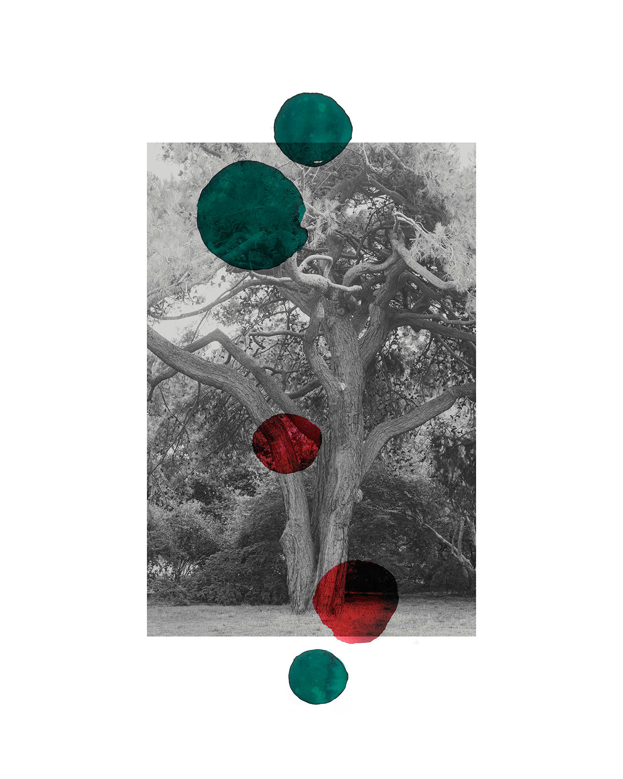From The ONE series, Photography mix media abstract landscape