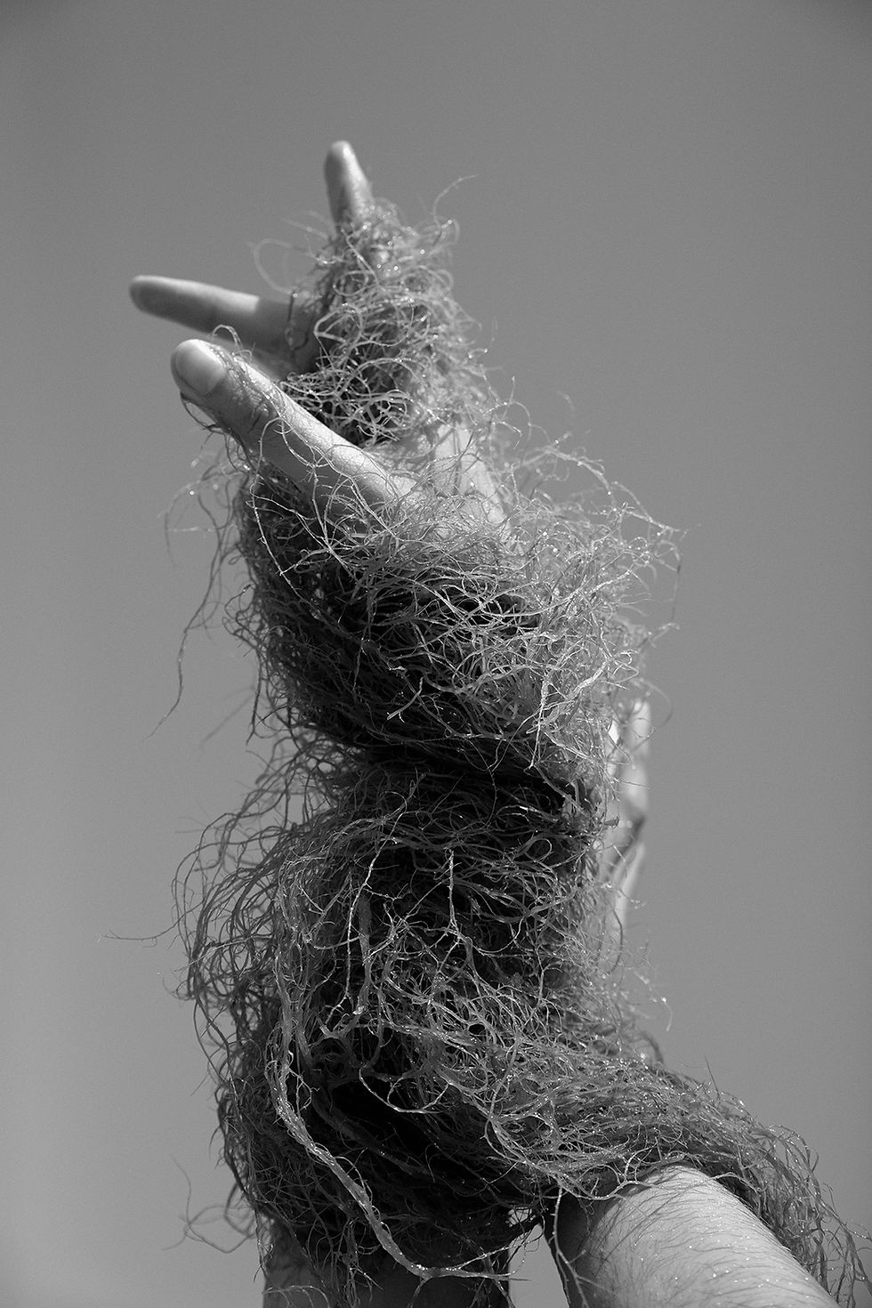 Fibras de mar, 2025 From the series Leather and Skin. Archival Pigment print Limited Edition.