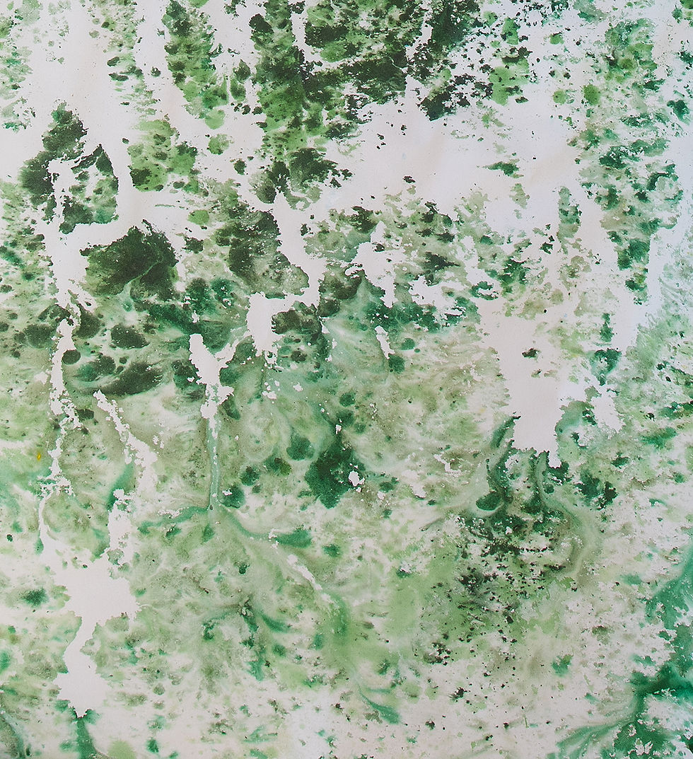 Thumbnail: Registros, Abstract Paintins, Nat orlowski, Lacquers, pigments, Indian ink, acrylic, canvas