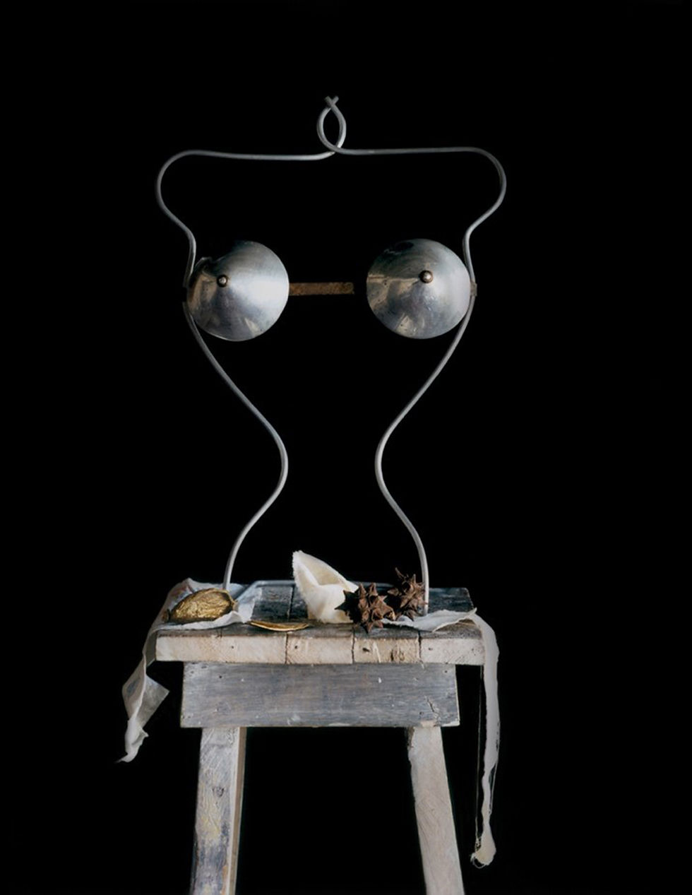 Thumbnail: Still-life, Portfolio of 8 photographs. Michael James O'Brien color Photography contemporary art flowers nature