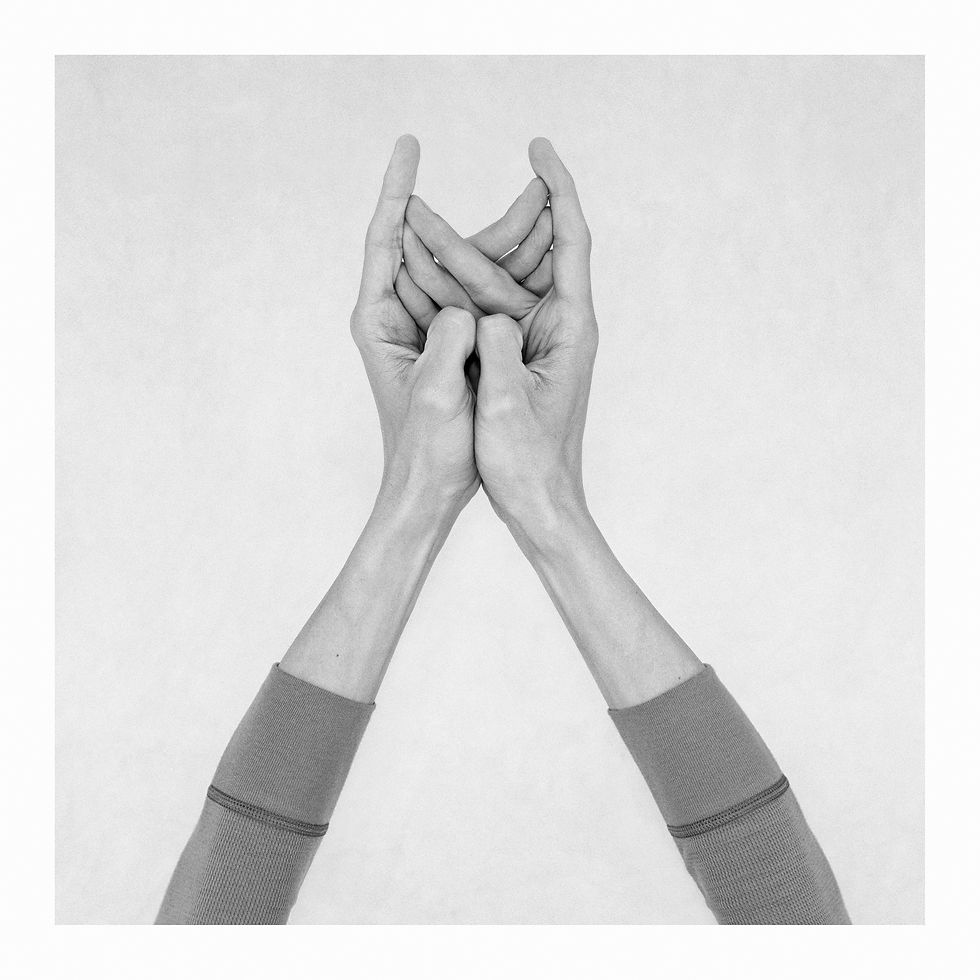 Nico Baixas Hands people black and white fingers figurative circus Chiromorphose