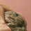 Thumbnail: Jose Sierra Photography Color portrait contemporary figurative nudes