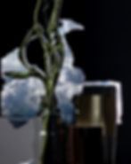 Untitled #7. From the series "There is an ocean in my glass"_Ying Chen 2020 photography still life Color flowers