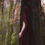 Thumbnail: The Seeker. Michaela Haider Figurative Photography abstract color contemporary art