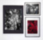 photography, still life, nature, Landscape Miguel Winograd black and white red jungle