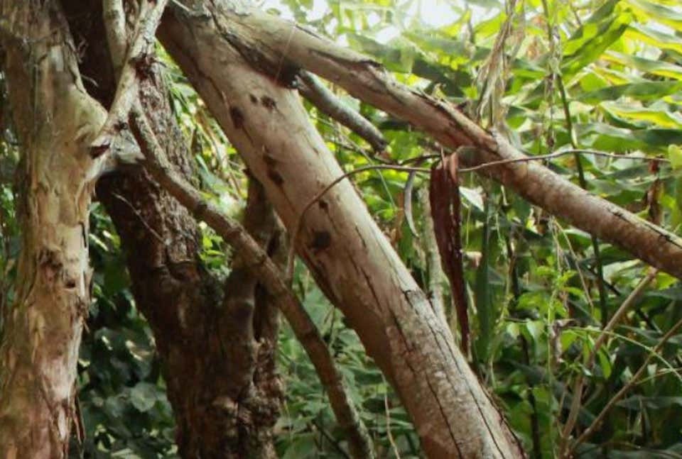 Thumbnail: Untitled IX, 2016    Jose Sierra Photography_ Color_  portrait_contemporary__figurative nudes