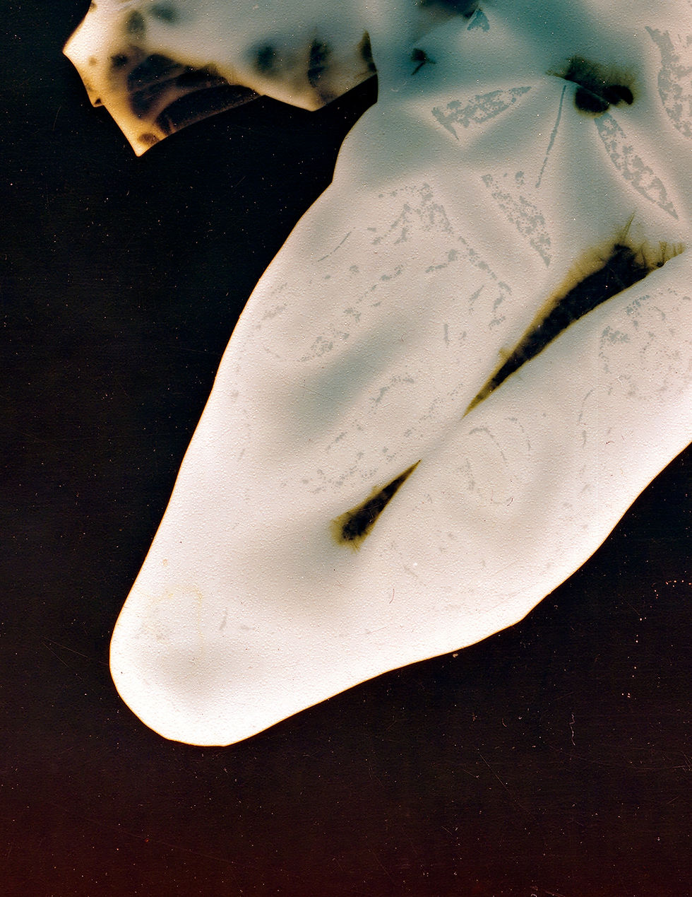 Thumbnail: Sexual fluids revealed on light-sensitive paper, anonymous ecstasy record