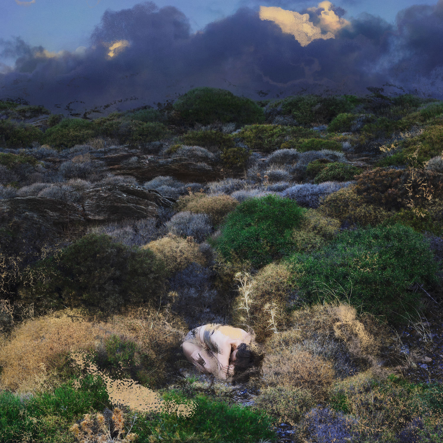 Familiar, 2026 Hahnemühle Photo Rag (HPR) 300g Limited Edition.