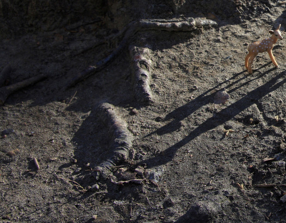 Dubravka Lazić Color Photograph Still-life figurative toys animals contemporary art