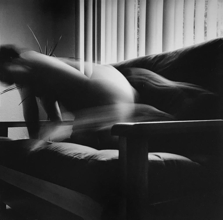 Thumbnail: Sequential blurred nude across domestic spaces, passion triptych detail