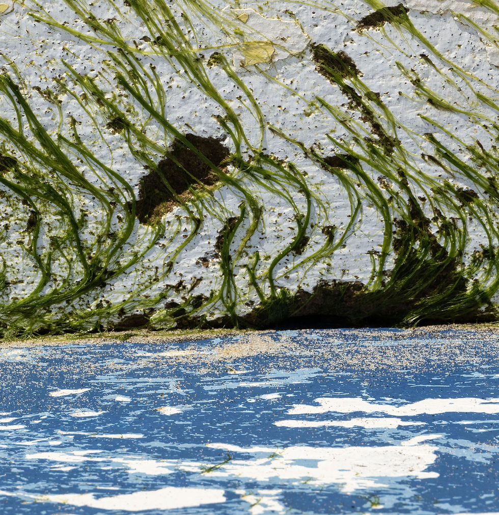Thumbnail: Eduardo Rezende Van Gogh Landscape Archival pigment print on canvas contemporary art color photogtaphy
