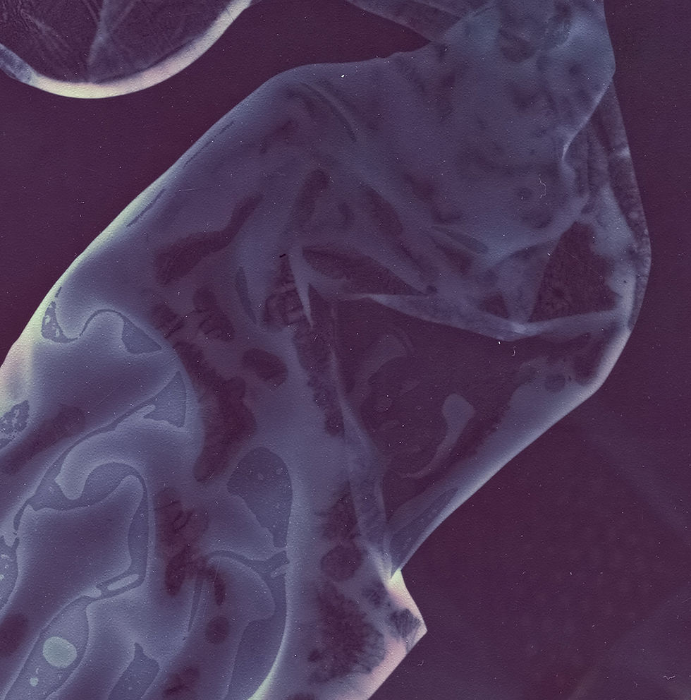 Thumbnail: Recordings photography contemporary color condom blends vibrant abstract