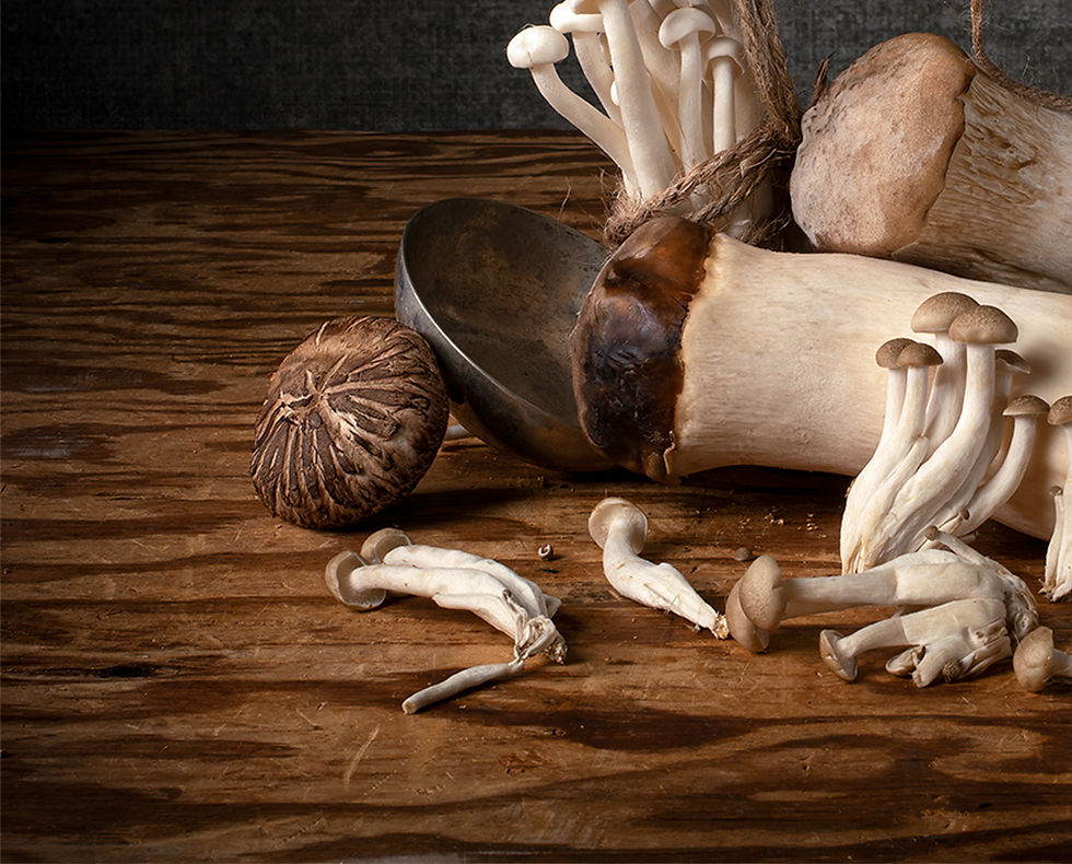 Hongos con Cuerdas. From the bodegones series, Dora Franco, Still life, color Photography, contemporary art