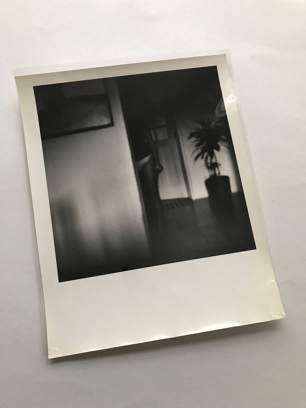Thumbnail: Condesa, 2004 Paola Dávila, photography black and white, figurative