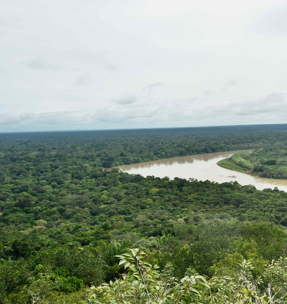 Thumbnail: Color Photograph Figurative Maria José Arjona nature landscape contemporary