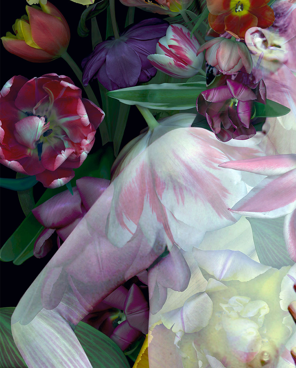 Thumbnail: Fauna #1. From the series "Fauna"  Zoltan Gerliczki photography color flowers still life