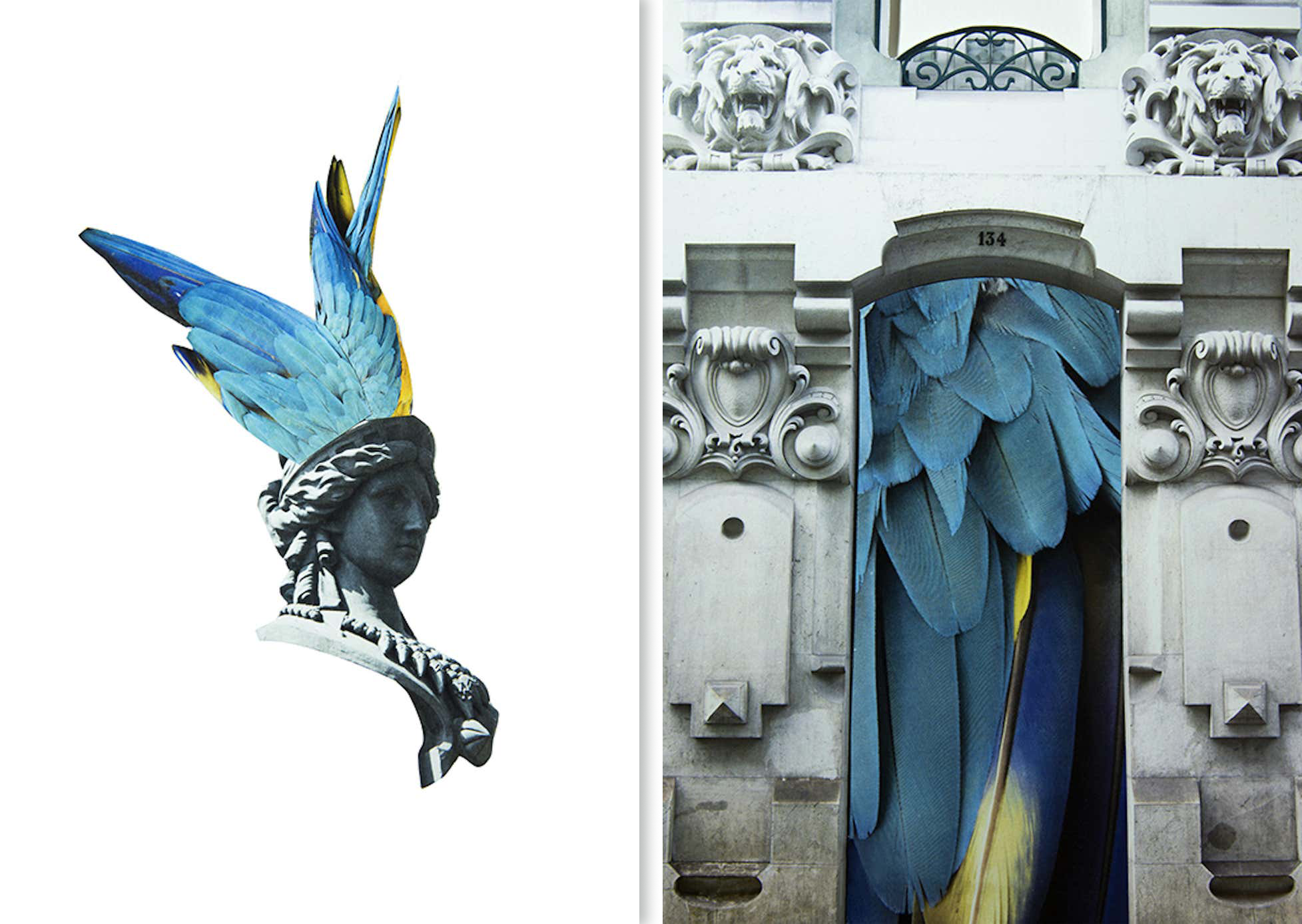 Delirio Exótico #14 and #13 Diptych, 2020. Color photograph