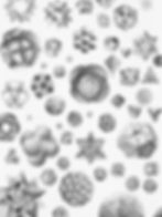 Cielo de Platón 4, 2021 Drawing. Geometric, abstract, cute, black and white, Graphite