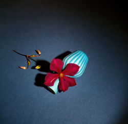 Dark Flower and Turquoise Vase,1980‘s