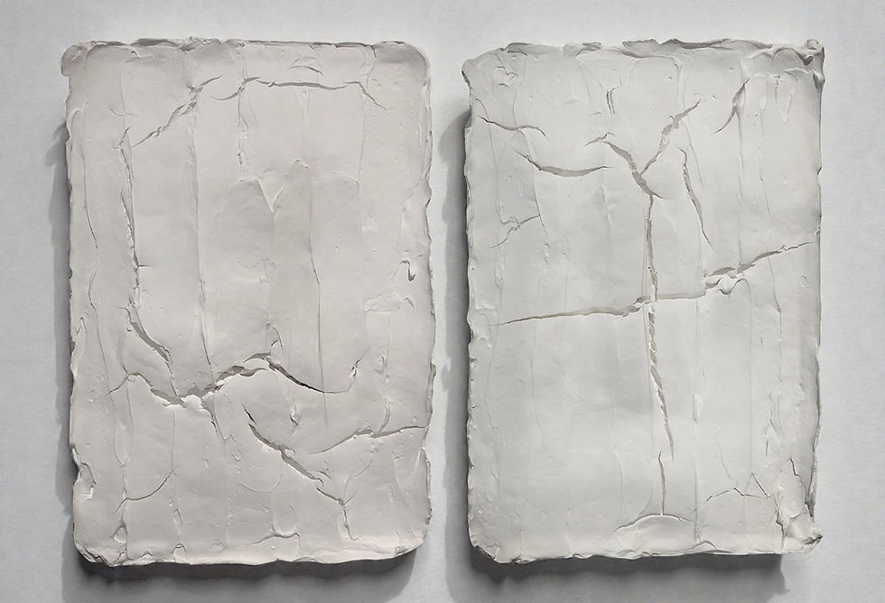 abstract wall sculpture plaster Rodrigo Zampol volumes, cracks, lights, and shadows