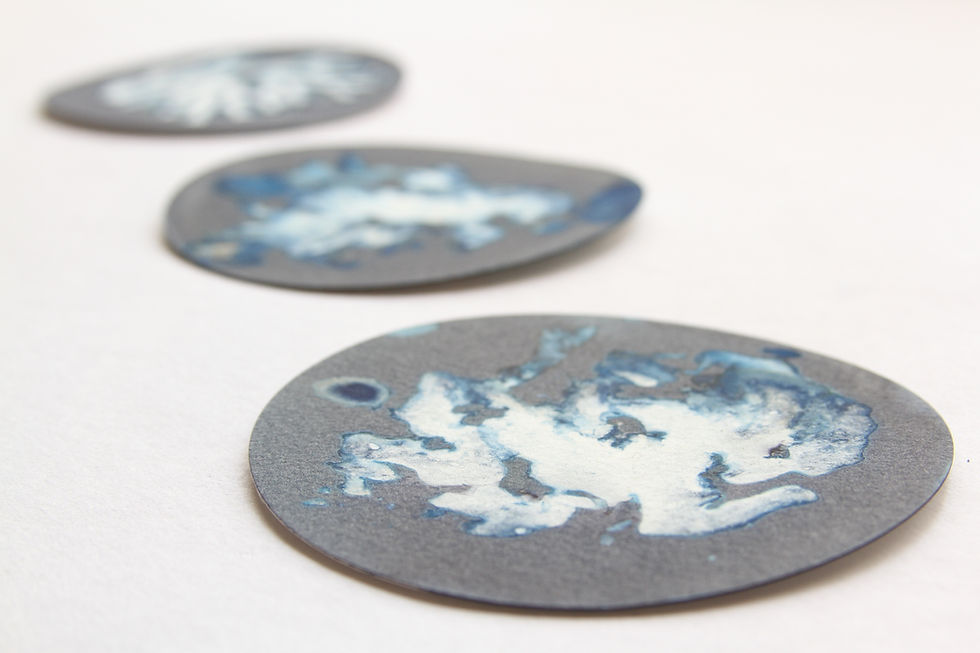 Thumbnail: Algas 11, 22 y 67, 2022 (Framed)_Paola Dávila_ still life photography__sea_nature_conceptual art_conceptual photography_