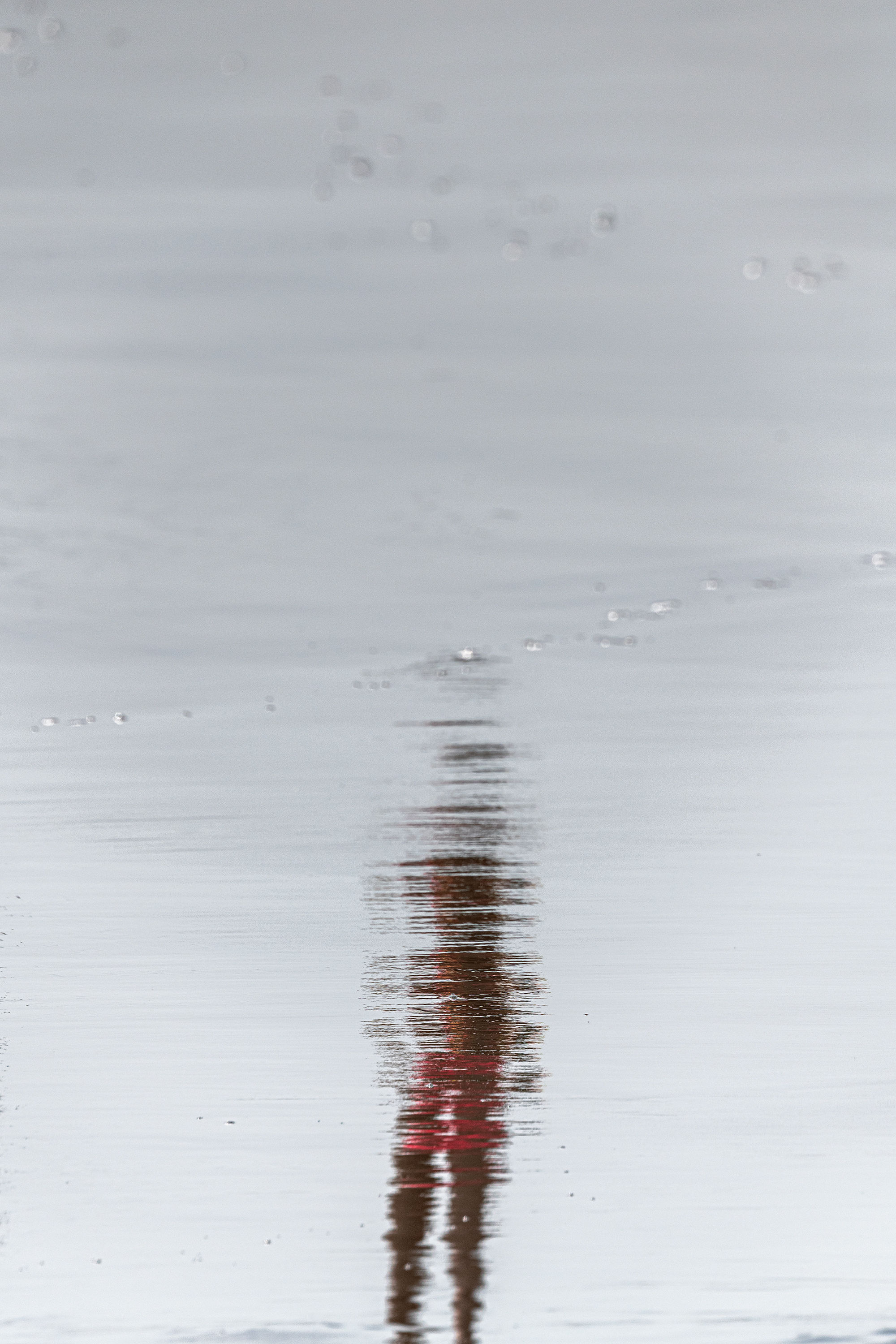 photography contemporary color photography abstract beach figurative
