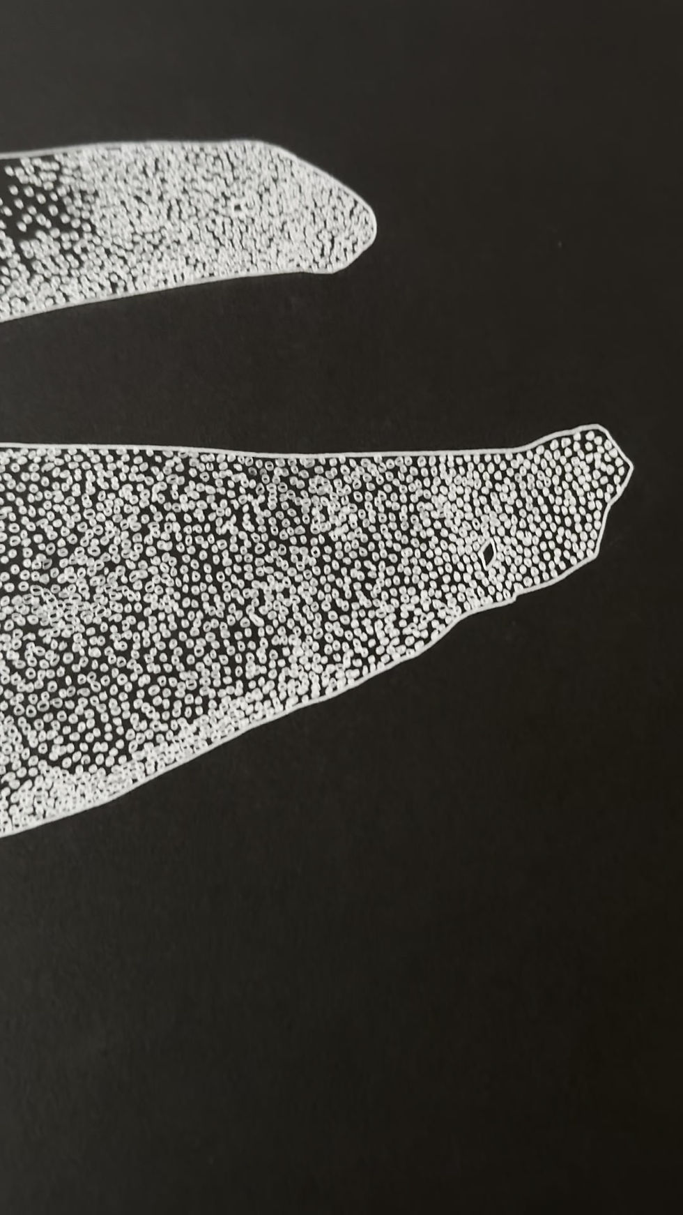 Thumbnail: Unique Objets drawing work on paper Rita Alaoui abstract White acrylic on black paper contemporary art