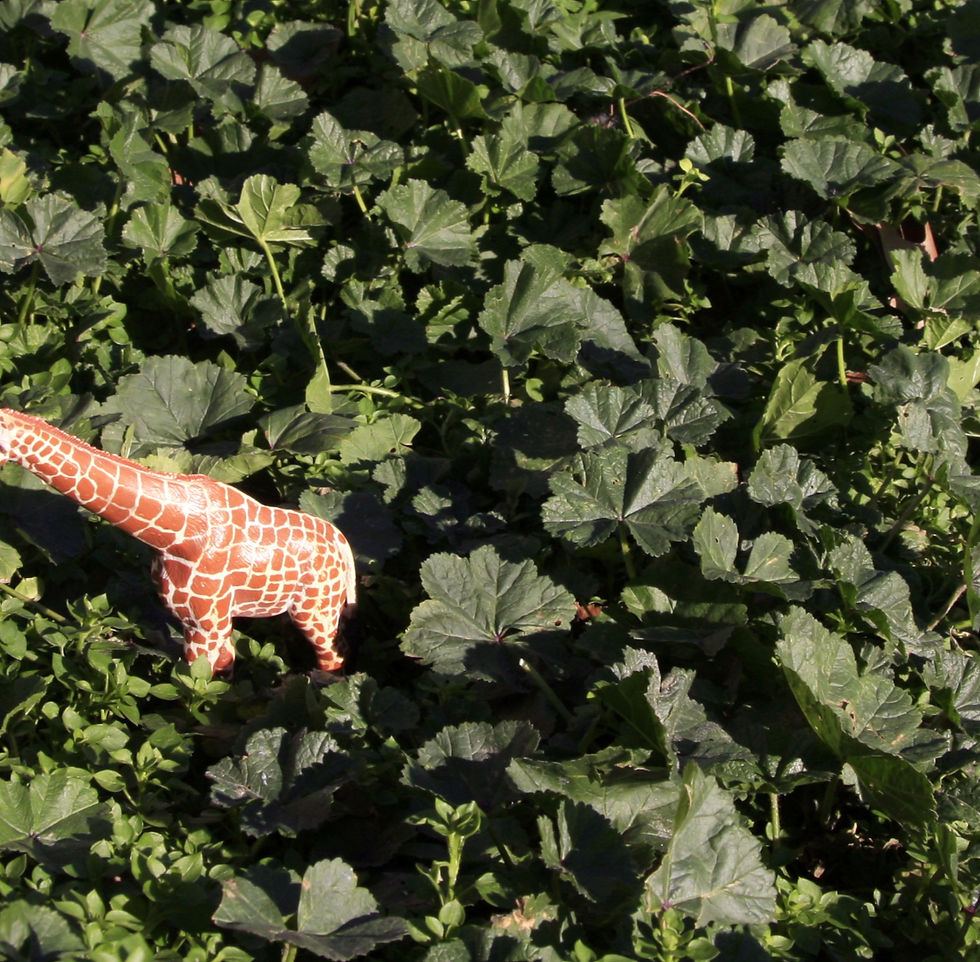 Thumbnail: Environmental context surrounding toy figure emphasizing contrast of scale