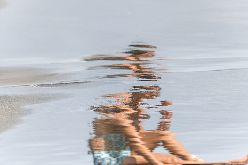 photography contemporary color photography, abstract, beach,