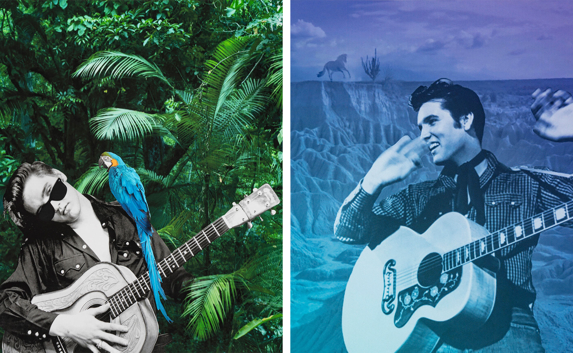Elvis Presley: Tropical jungle and Tatacoa desert. Collage Color Photography