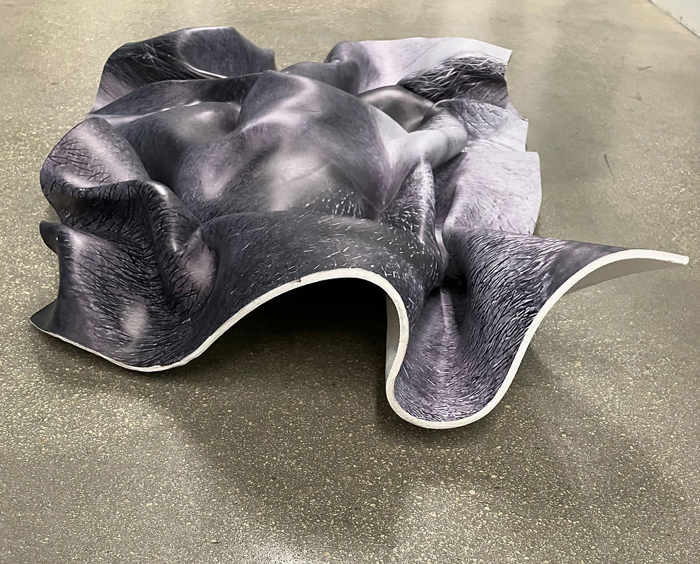 Thumbnail: Hunter and Gatti, Abstract Sculpture, photography black and white 3D, acrylic