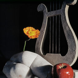 Sculpture Fragment and Lyre with Poppy and Apple_1980‘s_Horst P Horst_The art design proje