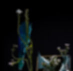 Untitled #2. From the series "There is an ocean in my glass"_Ying Chen_2020_photography_still life_Color abstract_flowers