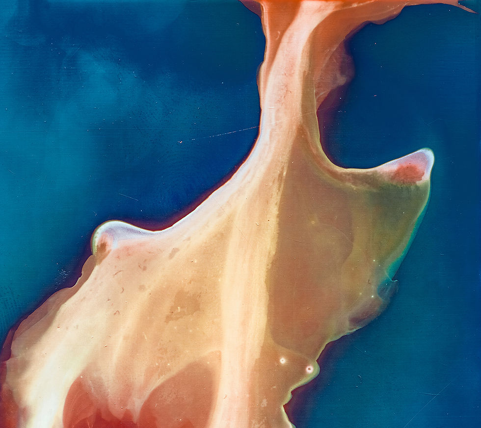 Recordings photography contemporary color condom blends vibrant abstract